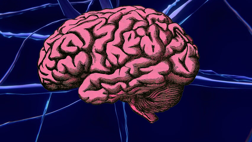 NEUROTRANSMISORES: ¿QUÉ HACEN Y COMO FUNCIONAN?